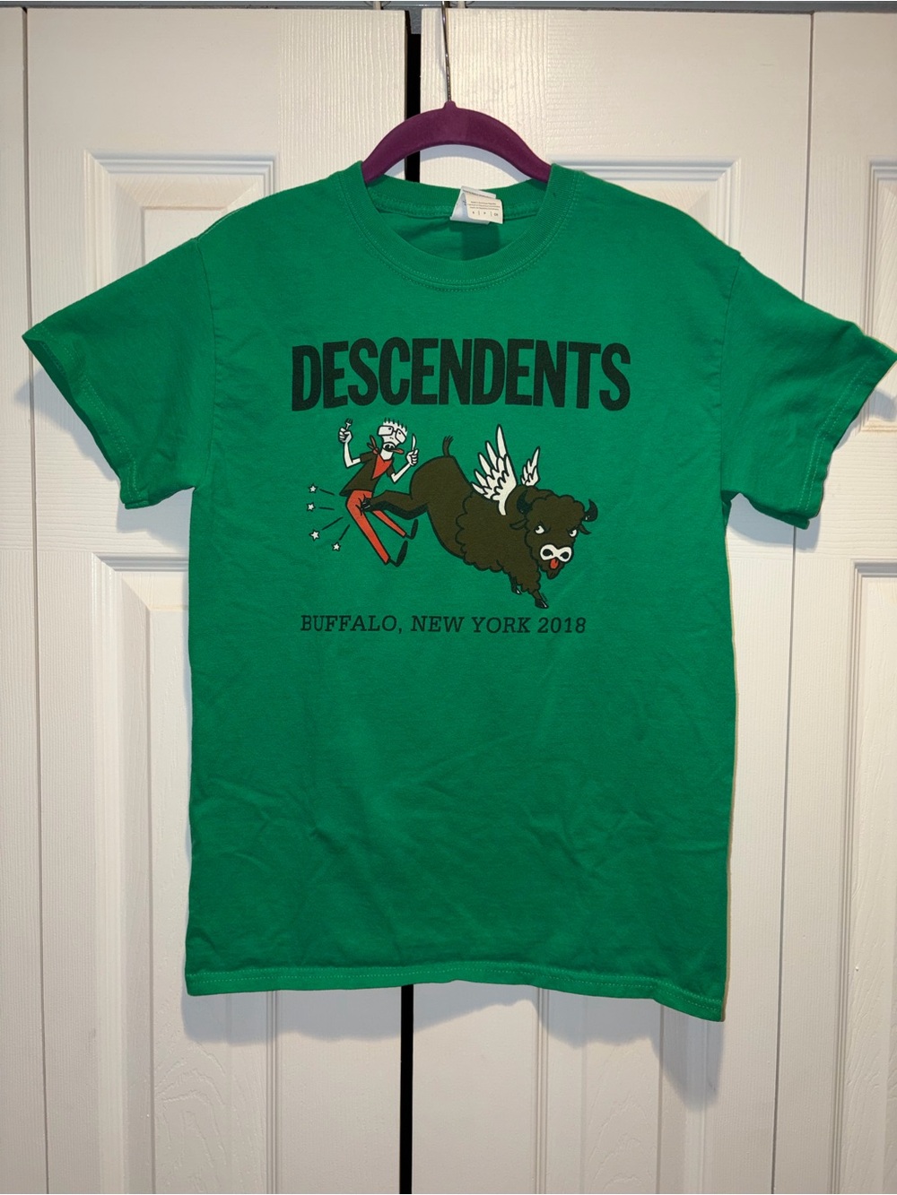 Descendents Concert T-Shirt Mens Size Small Buffalo NY 2018 Punk Rock Milo